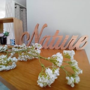 Décoration nature