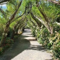 Terra Botanica