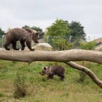 Zoo de la Boissière